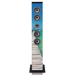Speakertower met Bluetooth®, PLL FM-radio, USB- en SD-speler