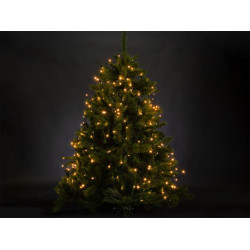 ATRIA LED - voor bomen tot 1.8 m - 220 leds - arizona wit - groene kabel - 24 V